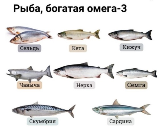 Новости ГТО: Какая рыба самая полезная?.